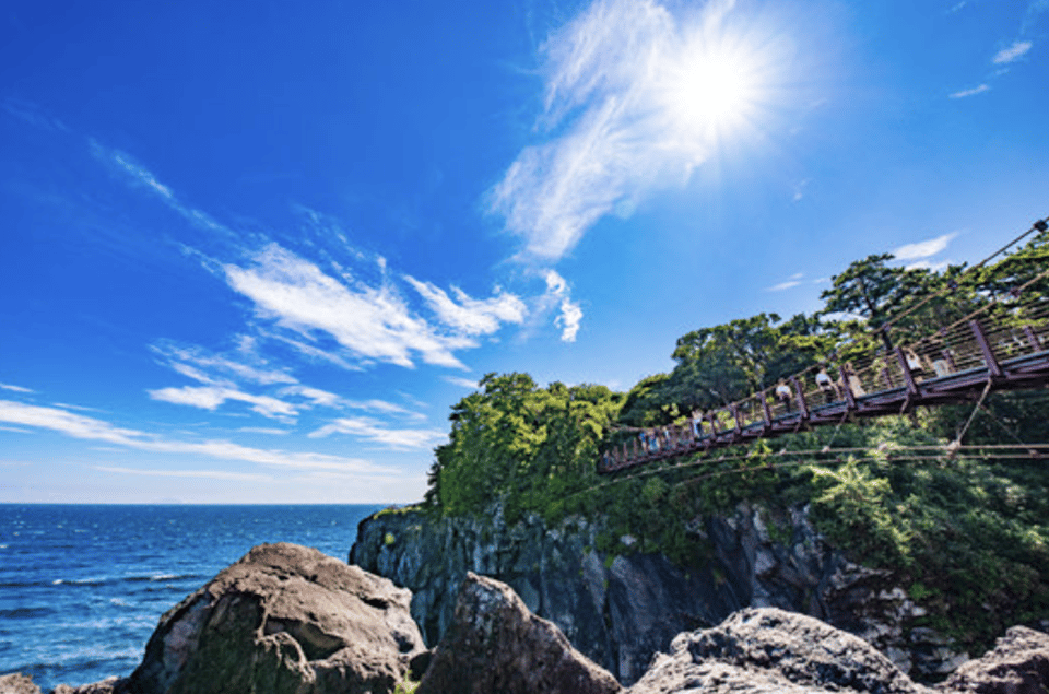 From Tokyo: Private Day Trip to Izu & Shimoda, Shizuoka - Shimoda and Izu in One Day: What This Trip Really Gives You