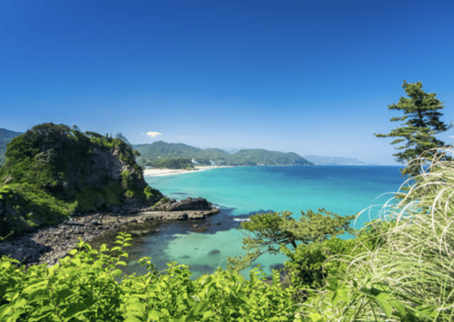 From Tokyo: Private Day Trip to Izu & Shimoda, Shizuoka - Ryosenji Temple and the U.S. treaty story you can see