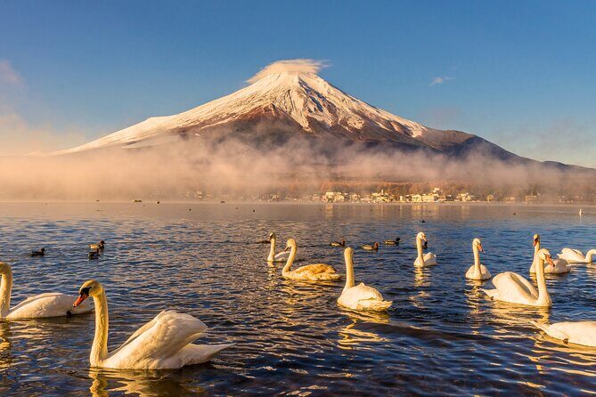 From Tokyo: Private Day Trip to Mount Fuji & Fuji Five lakes - Key things that make this Fuji day trip work