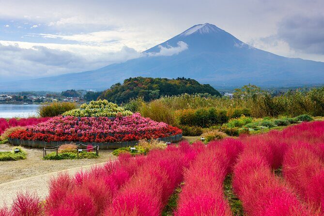 From Tokyo: Private Day Trip to Mount Fuji & Fuji Five lakes - Oshino Hakkai: eight ponds, postcard water