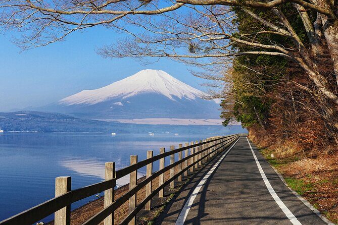 From Tokyo: Private Day Trip to Mount Fuji & Fuji Five lakes - Lake Yamanaka: a larger lake moment for calmer photos