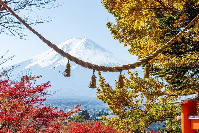From Tokyo: Private Day Trip to Mount Fuji & Fuji Five lakes - The route starts at Kitaguchi Hongu Fuji Sengen Jinja