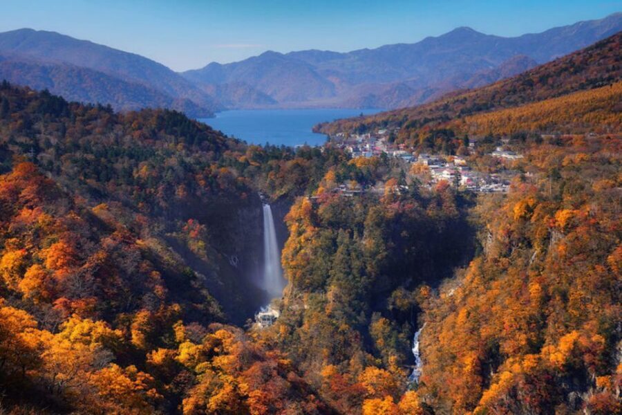 From Tokyo: Private Day Trip to Nikko and Lake Chuzenji - Toshogu Shrine: the cultural anchor of the day