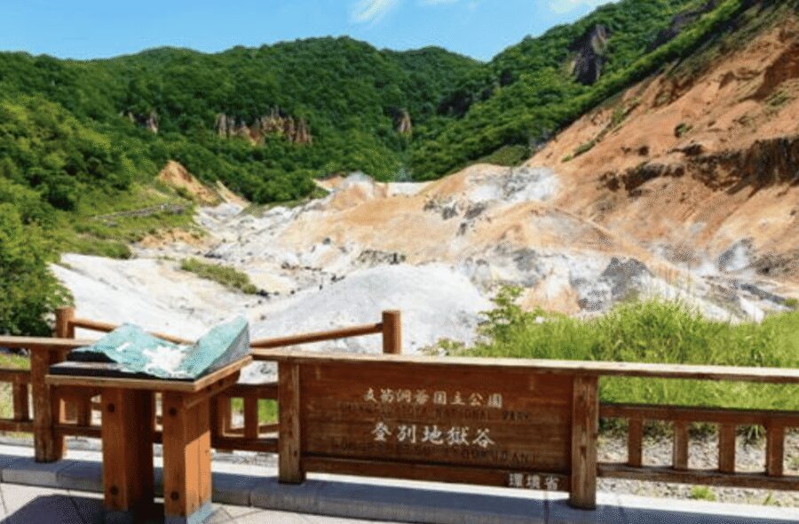From Tokyo: Private Day Trip to Snow Monkey & Zenkoji - Jigokudani Snow Monkey Park: wild macaques and hot-spring behavior