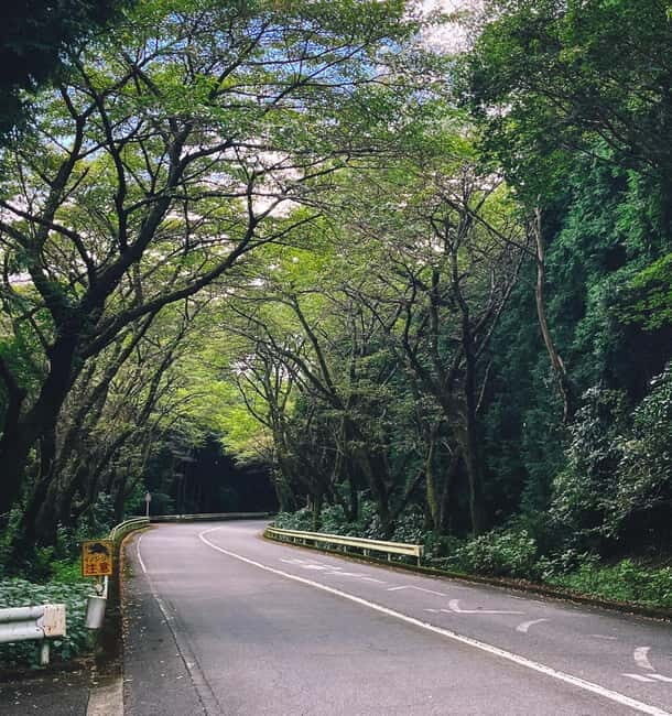 From Tokyo: Private Motorcycle Tour - Fuji, Hakone, Onsen - Who Should Book This Fuji and Hakone Motorcycle Day Trip