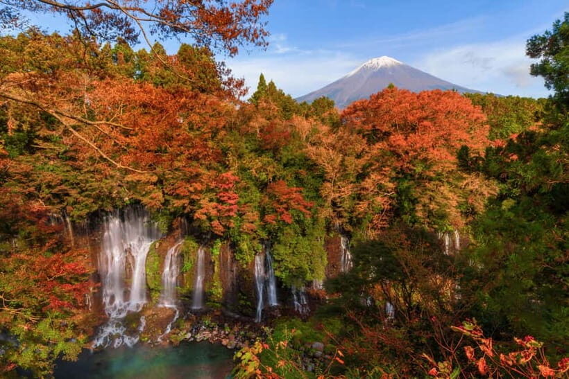 From Tokyo: Private Motorcycle Tour - Fuji, Hakone, Onsen - Hakone Open-Air Museum: Art With Fresh Air