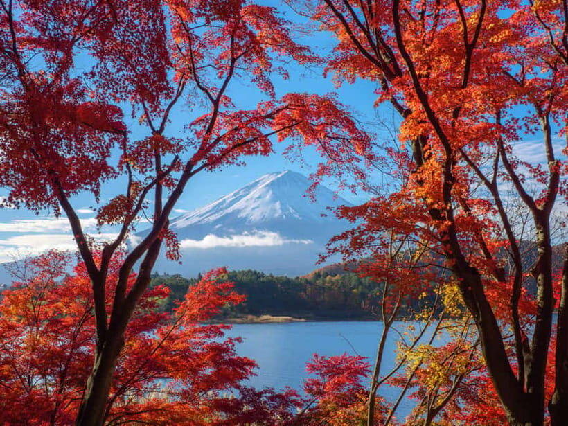 From Tokyo: Private Motorcycle Tour - Fuji, Hakone, Onsen - How This Tour Feels Day-to-Day: Safety, Breaks, and Group Size