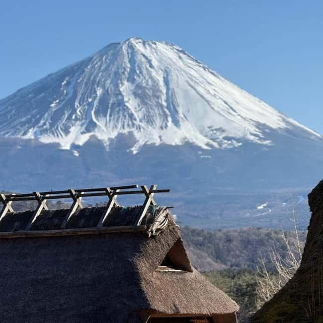 From Tokyo Private Mount Fuji & Hakone Day Trip With Pick Up - A private Fuji-and-Hakone day that’s built for comfort