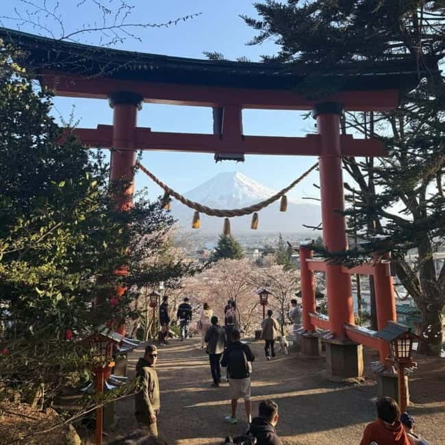 From Tokyo Private Mount Fuji & Hakone Day Trip With Pick Up - Hakone Shrine near Lake Ashi: the torii-in-the-water moment