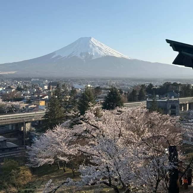 From Tokyo Private Mount Fuji & Hakone Day Trip With Pick Up - Lake Ashi, Yamanashi photo stop, then Gotemba’s shopping finish
