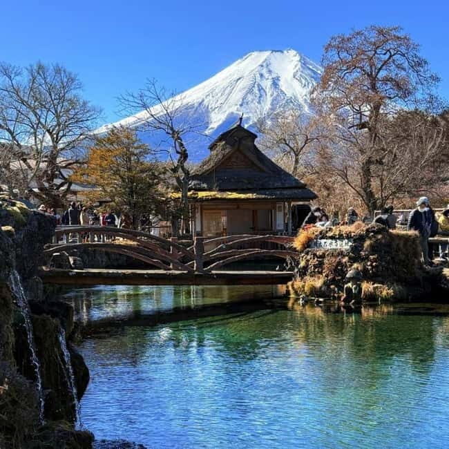 From Tokyo Private Mount Fuji & Hakone Day Trip With Pick Up - Luxury vehicles: Land Cruiser, Crown, Vellfire—and the vehicle may vary