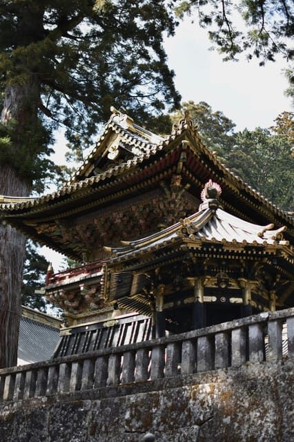 From Tokyo: Private Nikko World Heritage Sights Day Trip - Should you book this Nikko day trip?