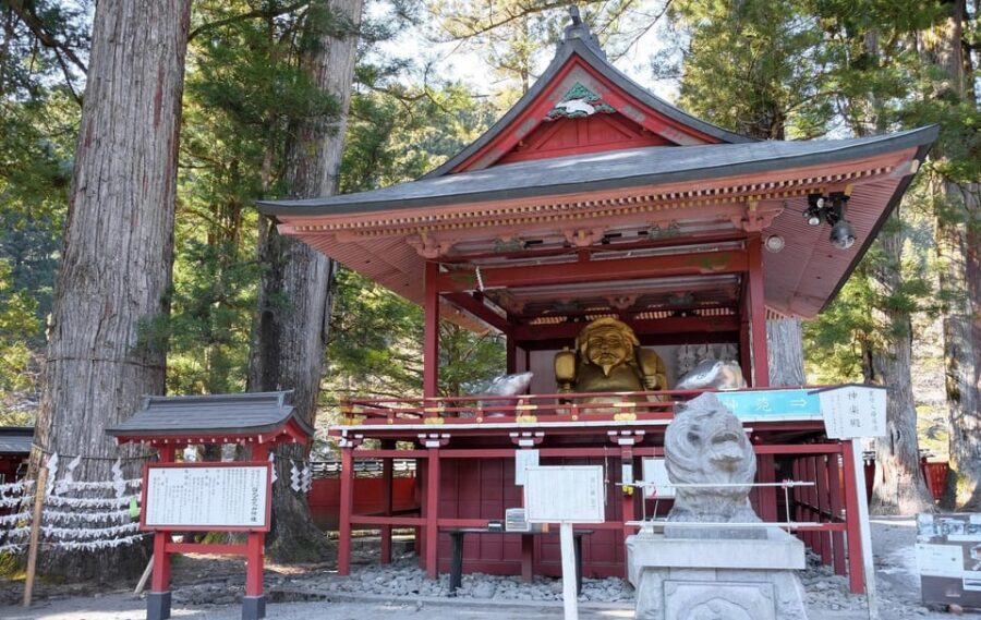From Tokyo: Private Nikko World Heritage Sights Day Trip - Guide and driver flexibility: why the best days feel easy