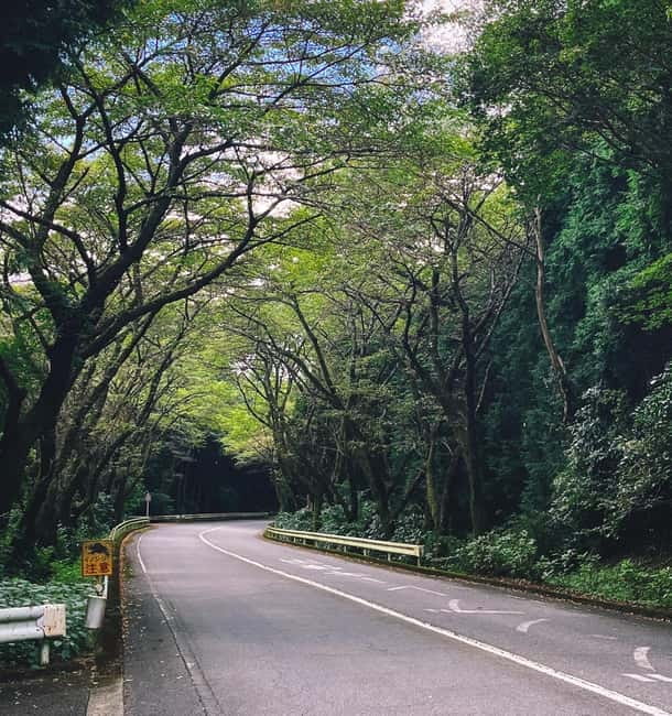 From Tokyo: Private Tour to Fuji/Hakone - Onsen, Art, Nature - Lake Ashi and Hakone Shrine: calm Shinto time with real atmosphere