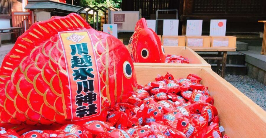 From Tokyo: Round-Trip Fare to Kawagoe City - Key Highlights You’ll Actually Care About