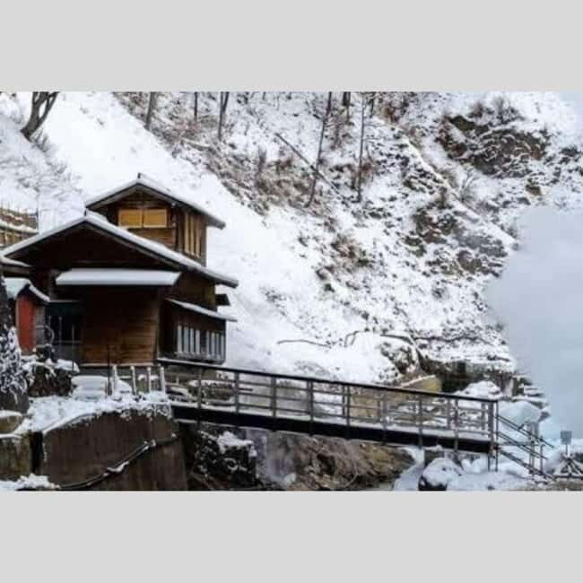 From Tokyo: Snow Monkey Park and Miso Production Day Tour - Key highlights I’d circle for you