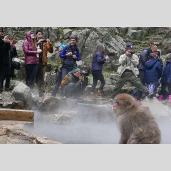 From Tokyo: Snow Monkey Park and Miso Production Day Tour - Practical tips so you’re not rushing (or slipping)