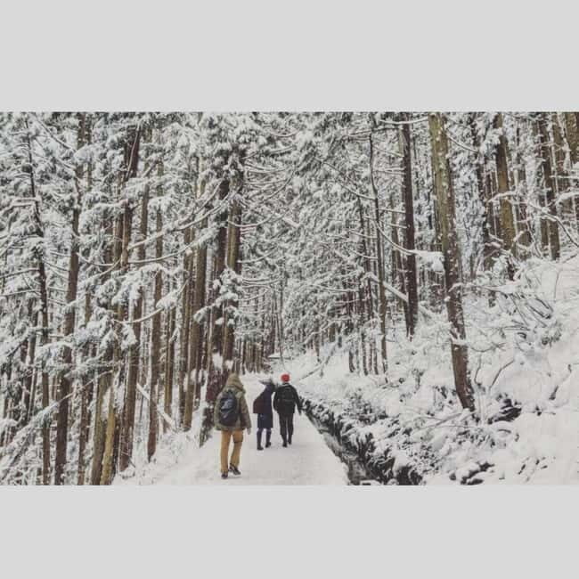 From Tokyo: Snow Monkey Park and Miso Production Day Tour - Tokyo to Nagano in One Private Day: the real value