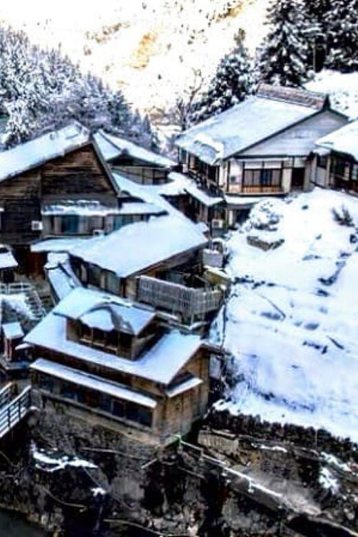 From Tokyo: Snow Monkey Private Customize Day Tour - Shibu Onsen and Obuse: Two Break Stops That Keep the Day Comfortable