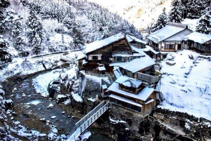 From Tokyo: Snow Monkey Private Customize Day Tour - Matsumoto and Matsushiro Castle Ruins: Turning the Return Drive Into Sightseeing