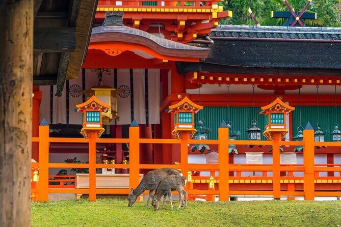 From Tokyo to Kyoto and Nara: A Captivating Full-Day Private Tour - Price and value: what $490 covers and what you still pay