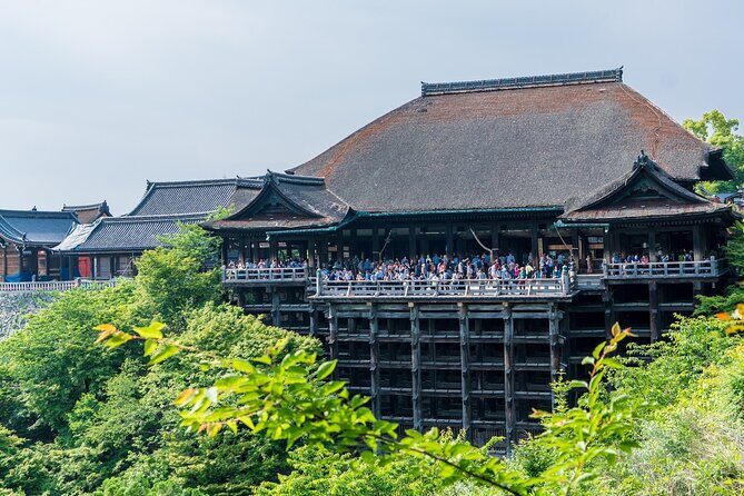 From Tokyo to Kyoto and Nara: A Captivating Full-Day Private Tour - How the transport works: bullet-train booking help, tickets are extra