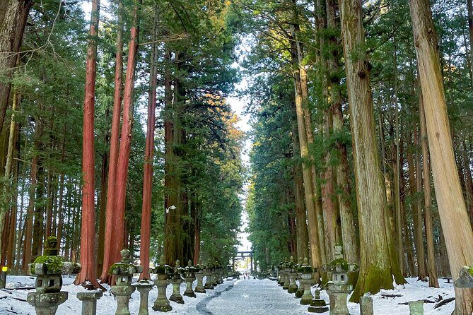 From Tokyo to Mount Fuji! Private Car Tour by Eng Speaking Driver - Private Car to Fuji: Why this day feels calmer