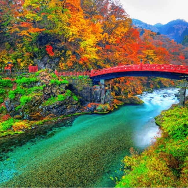 From Tokyo To Nikko Private Day Tour With English Guide - Private Tokyo Pickup: The Part That Actually Changes the Day