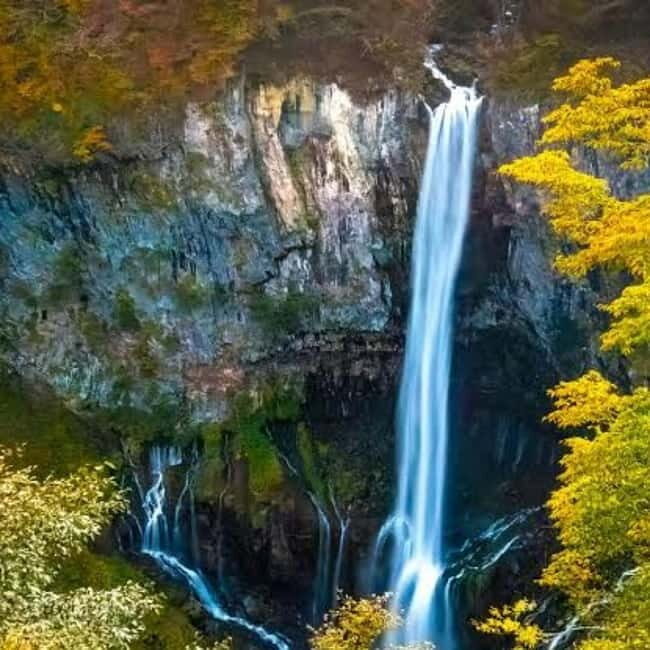 From Tokyo To Nikko Private Day Tour With English Guide - Kegon Falls: 45 Minutes That Hit Hard