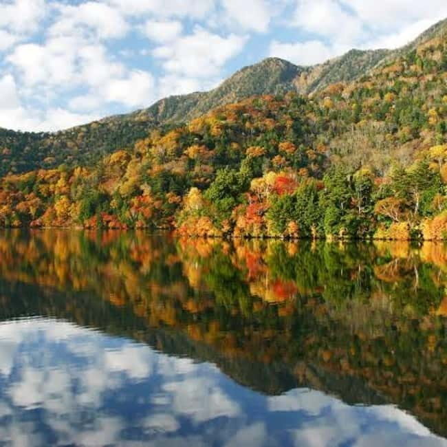 From Tokyo To Nikko Private Day Tour With English Guide - Nikko Break Time: 1 Hour to Regroup and Grab What You Need
