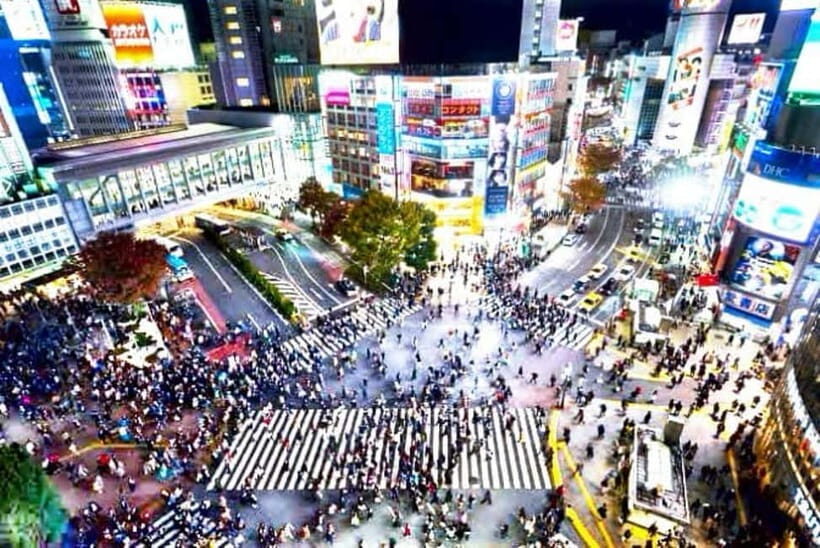 From Tokyo: Tokyo Private Customize Tour With English Driver - Private Car Value: What $382 Buys You in Tokyo