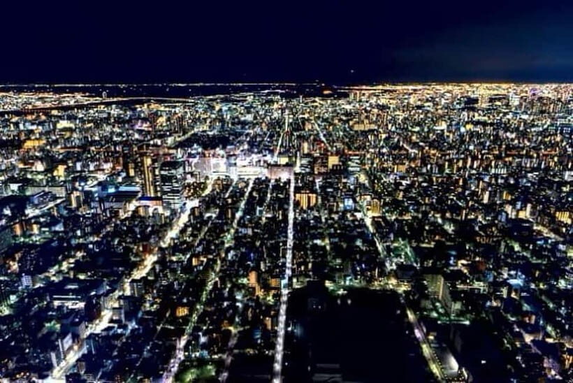 From Tokyo: Tokyo Private Customize Tour With English Driver - Harajuku and Takeshita Street: Shopping and People-Watching, Your Way