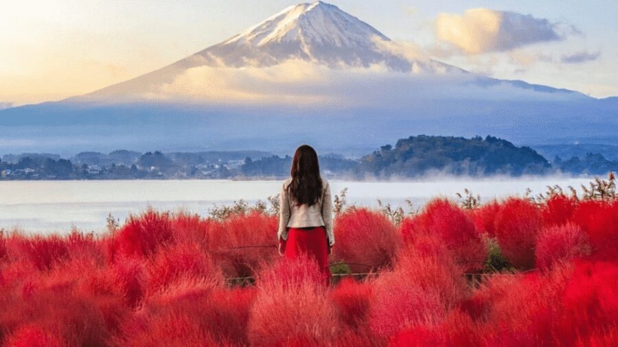 From Tokyo:Mount Fuji Private Customizable Tour With English - Key highlights worth getting excited about