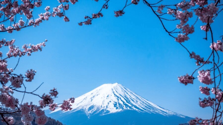 From Tokyo:Mount Fuji Private Customizable Tour With English - A private Mt. Fuji day trip that’s built around your choices