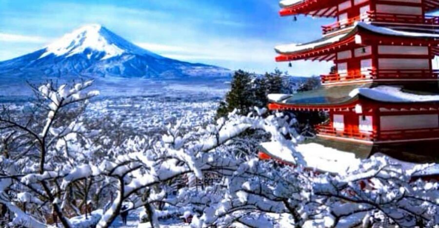 From Tokyo:Mount Fuji Private Customizable Tour With English - Fuji Five Lakes favorites: Kawaguchiko, Oshino Hakkai, and classic angles
