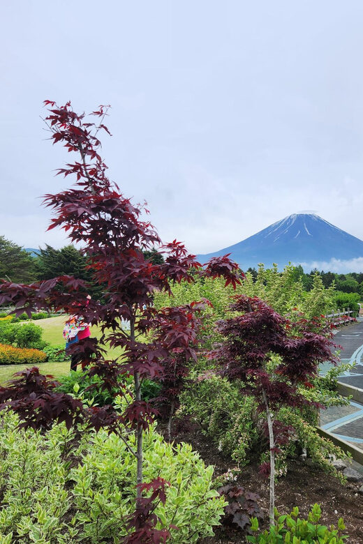 From Tokyo:Mount Fuji Private Customizable Tour With English - Price and value: $364 per group up to 6, plus the fees that matter