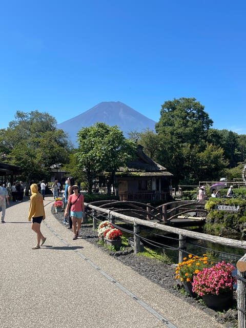 From Tokyo:Mount Fuji Private Customizable Tour With English - Pickup, luggage rules, and how the driver keeps the day working