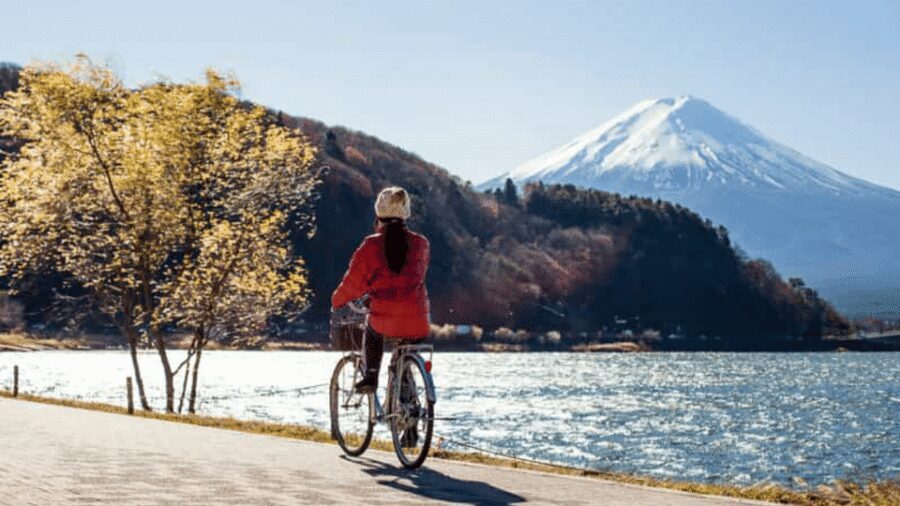 From Tokyo:Mount Fuji private day tour with English driver - Key moments that make this tour worth it