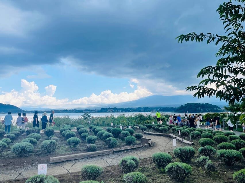 From Tokyo:Mount Fuji private day tour with English driver - Why this Mount Fuji day tour from Tokyo works so well