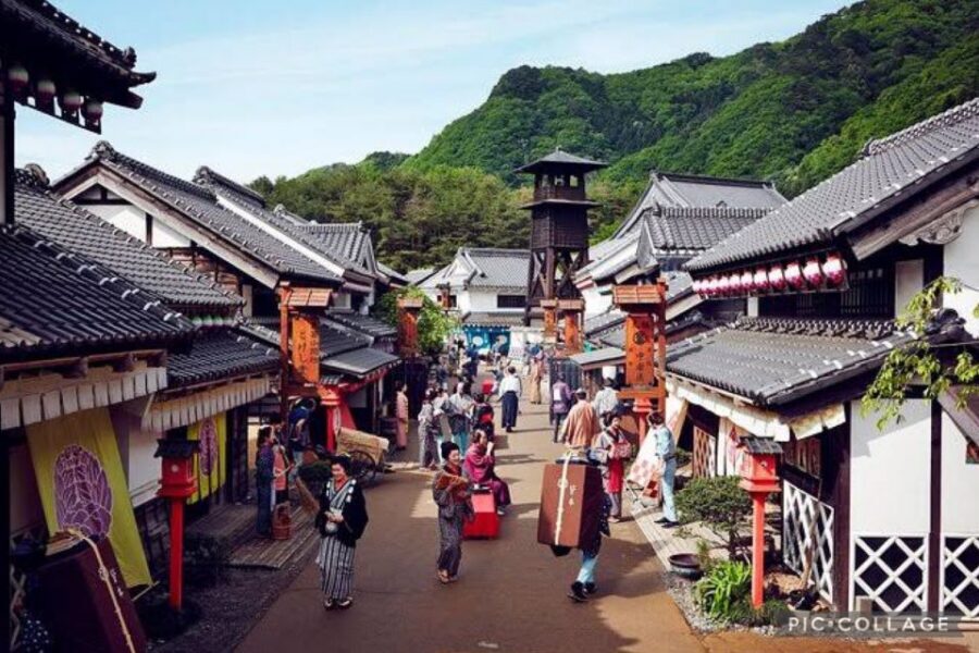 From Tokyo:Nikko Full Day Tour w/Hotel Pickup by Private Car - Key Highlights That Make This Nikko Day Work