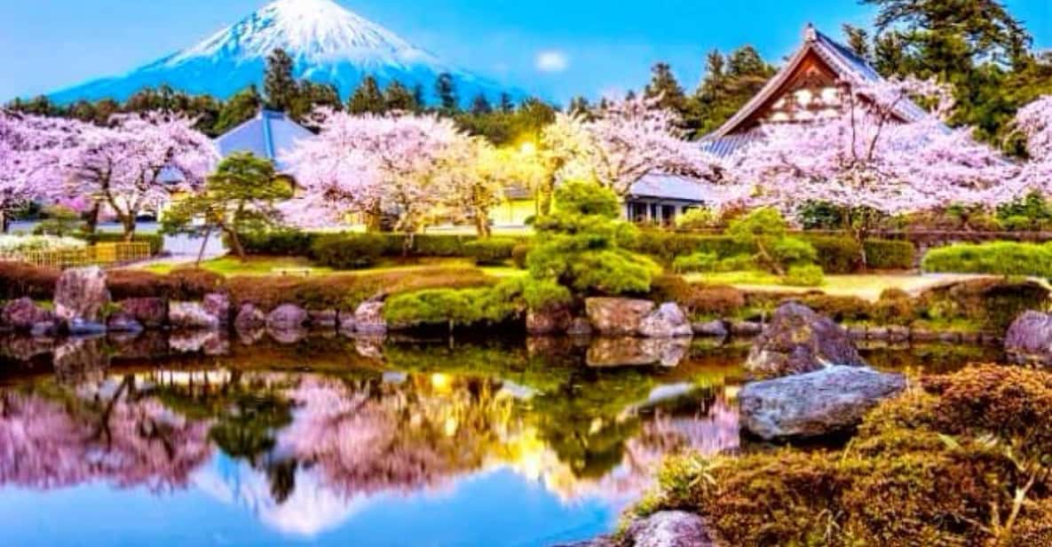 From Tokyo:private Mount Fuji tour with guide - Why a Private Fuji Day Trip Feels Different From a Bus