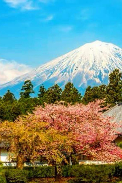 From Tokyo:private Mount Fuji tour with guide - Oshino Hakkai Ponds: Where Fuji Water Becomes a Calm Walk