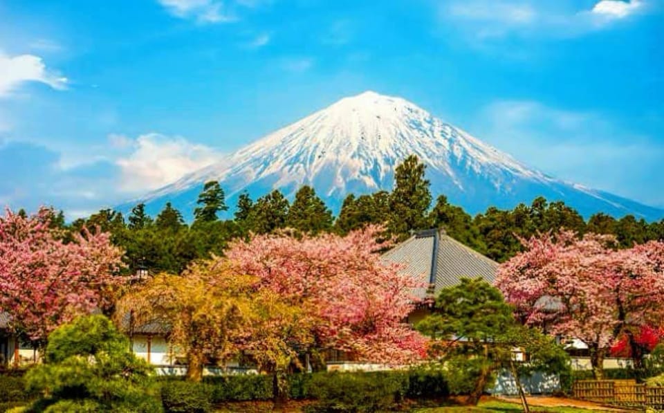 From Tokyo:private Mount Fuji tour with guide - Lake Kawaguchiko: The Classic Reflection Shot, Plus Actual Options