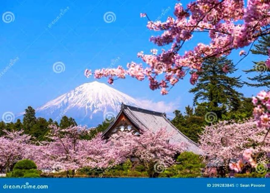 From Tokyo:private Mount Fuji tour with guide - Timing, Waiting, and How Not to Lose Time in Tokyo
