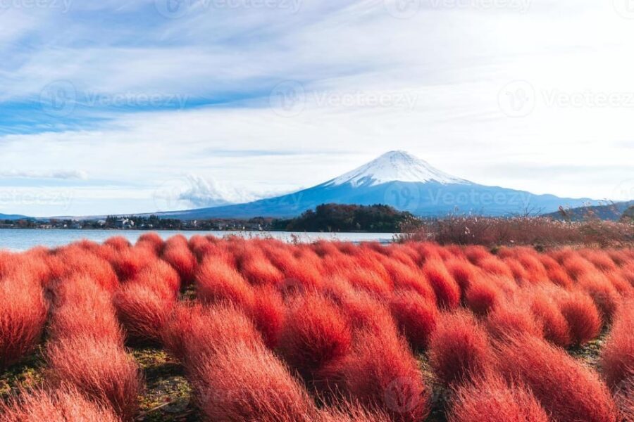 Fuji/Hakone Private Tour, English speaking guide, Photograph - Key highlights that actually matter