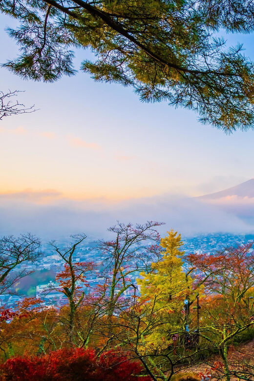 Fuji/Hakone Private Tour, English speaking guide, Photograph - Mount Fuji 5th Station: when the mountain gets personal