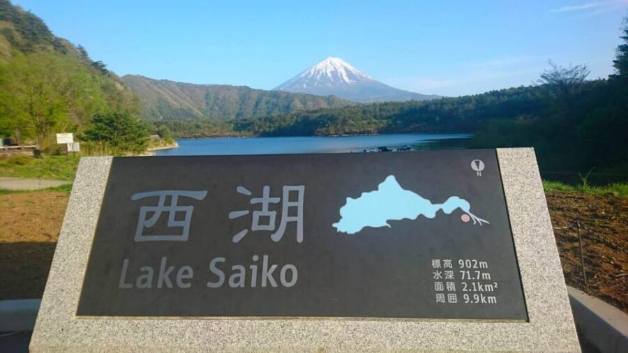 Fuji/Hakone Private Tour, English speaking guide, Photograph - Lunch near Fujikawaguchiko: eat where you want