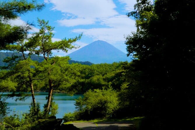 Fuji Photo Tour - Mt. Fuji photos: what this tour does better than a standard drive