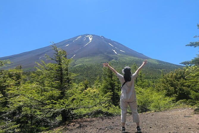 Fuji Photo Tour - Chureito Pagoda: stairs, a gentle slope, and that classic Fuji frame