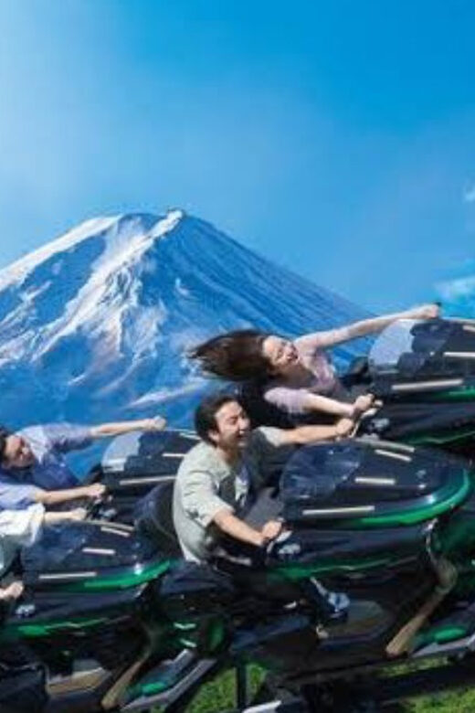 Fuji-Q Highland Amusement Park: 1 Day private tour by Car - Family fun near Mount Fuji, but know the intensity level